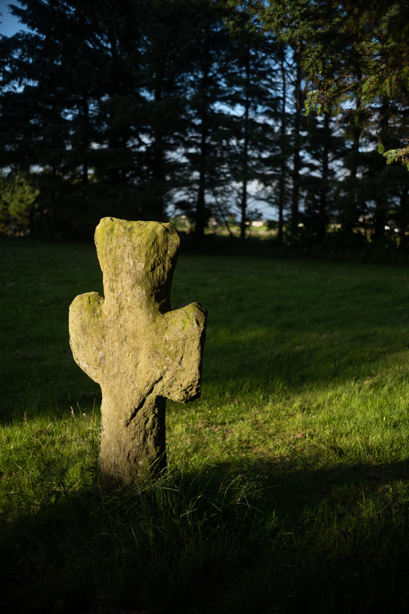 Norsk tittel / English title