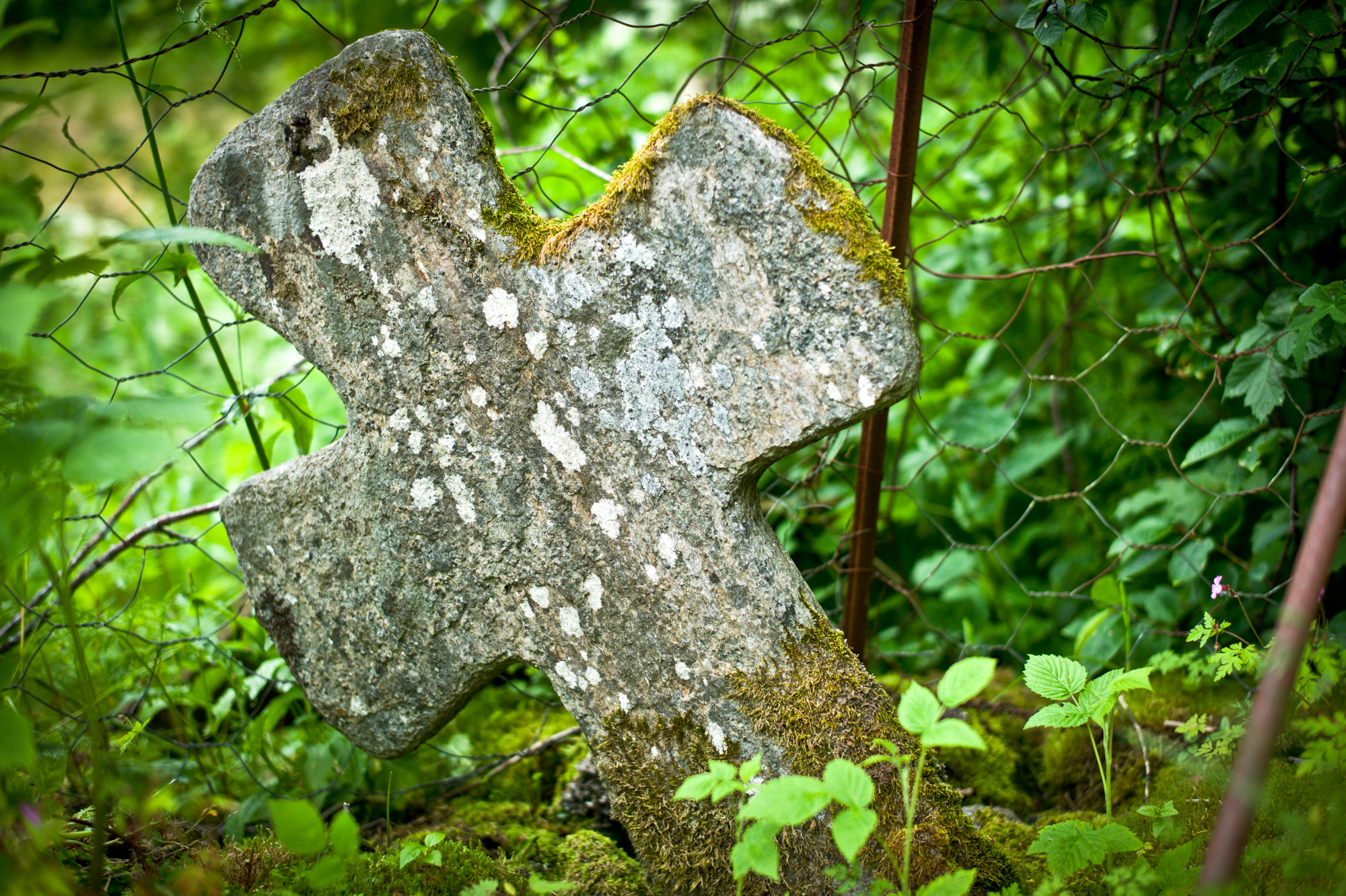 Norsk tittel / English title