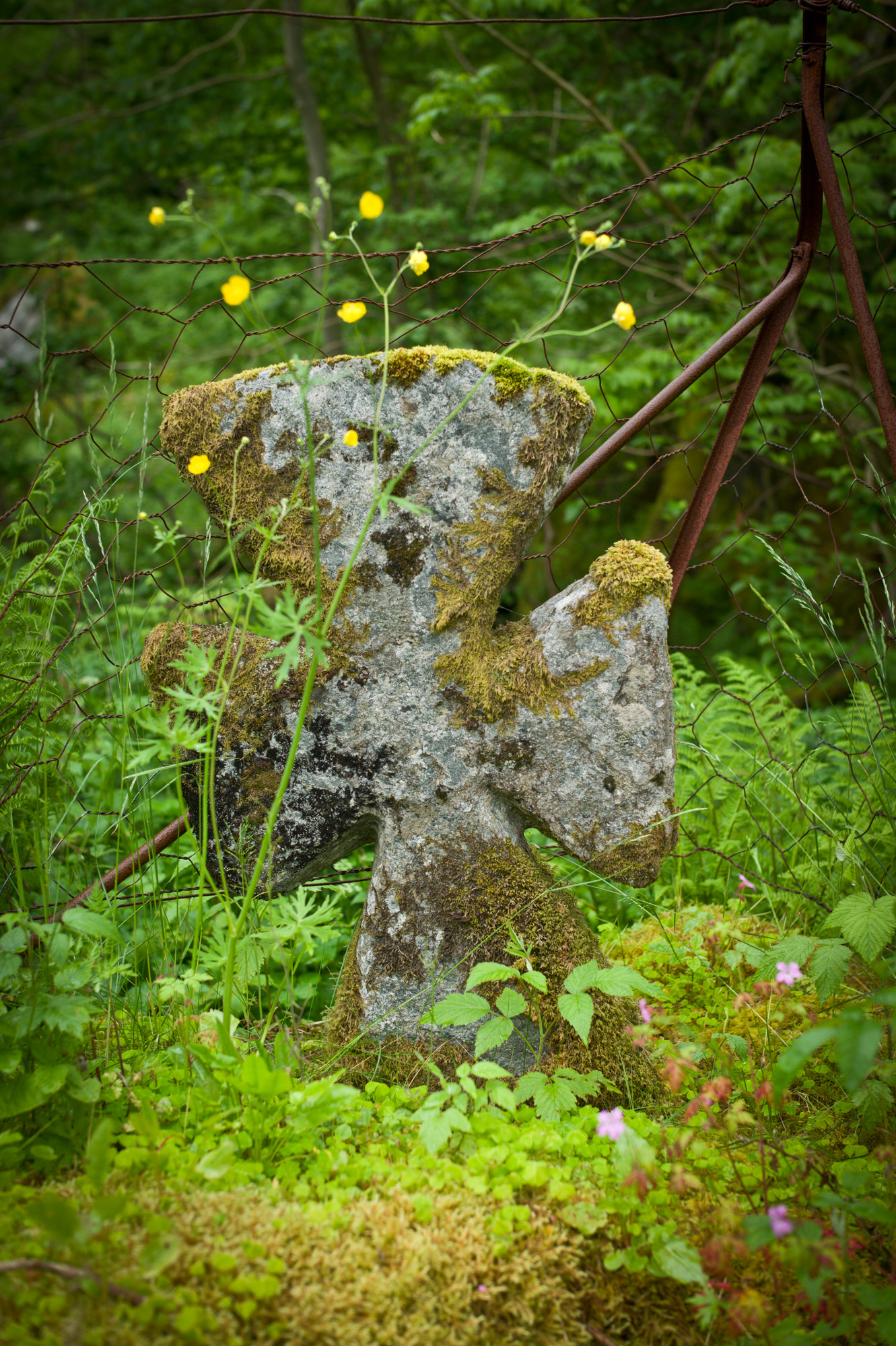 Norsk tittel / English title