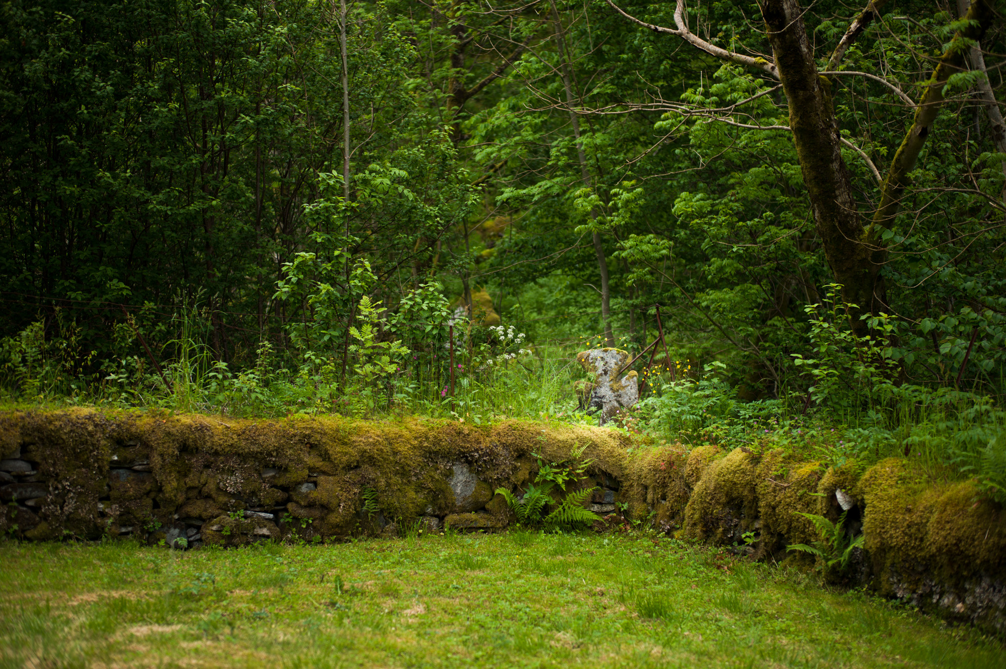 Norsk tittel / English title