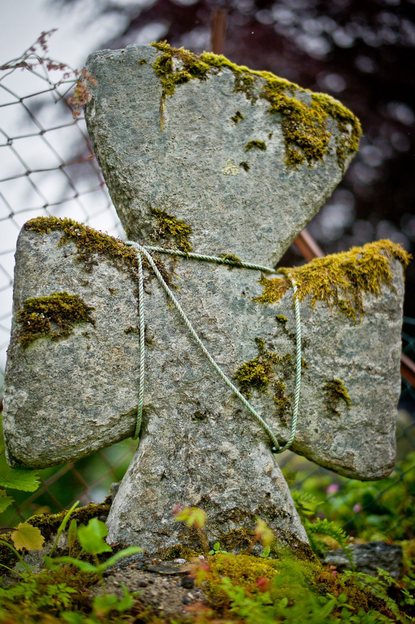 Norsk tittel / English title