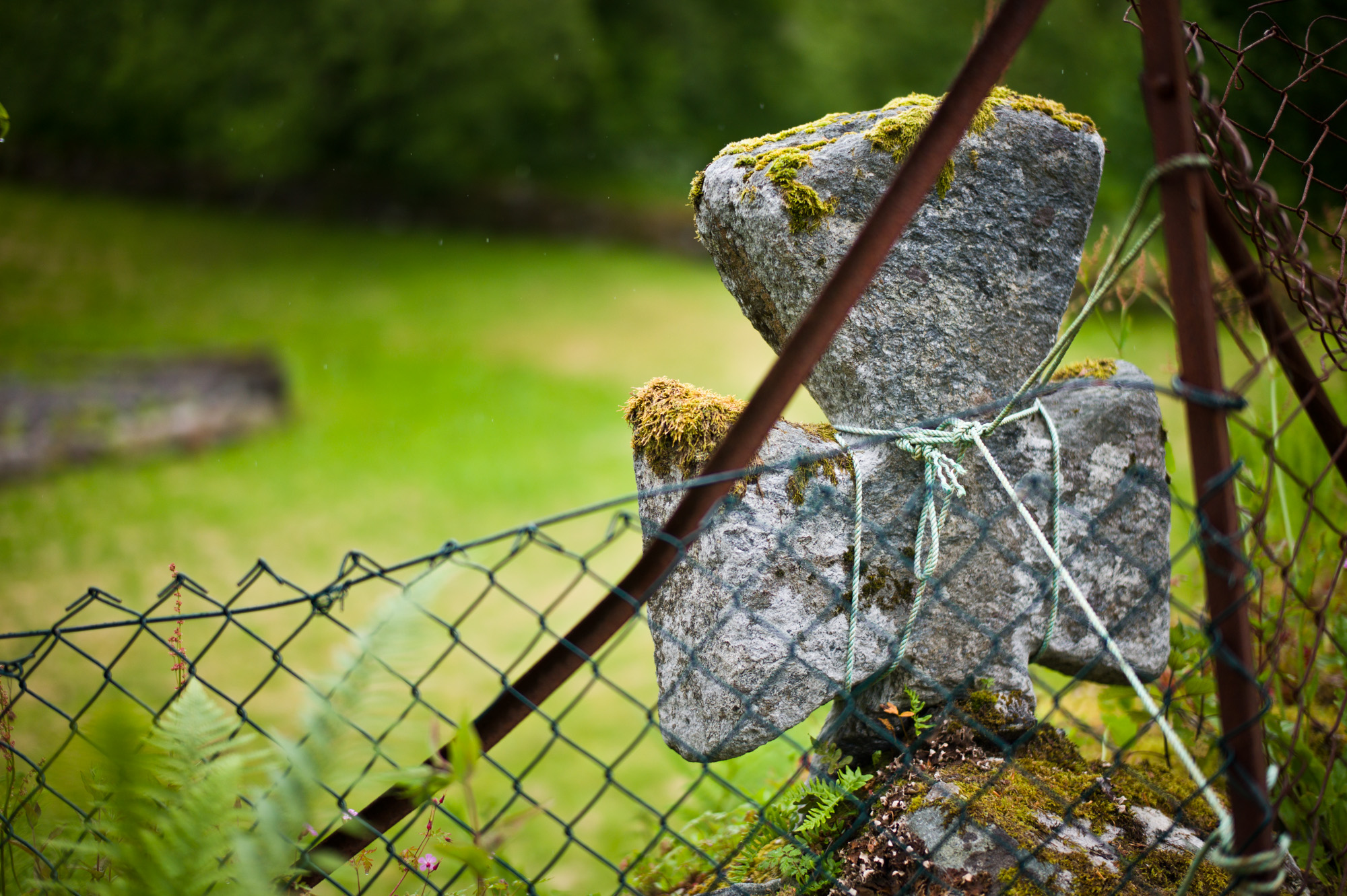 Norsk tittel / English title