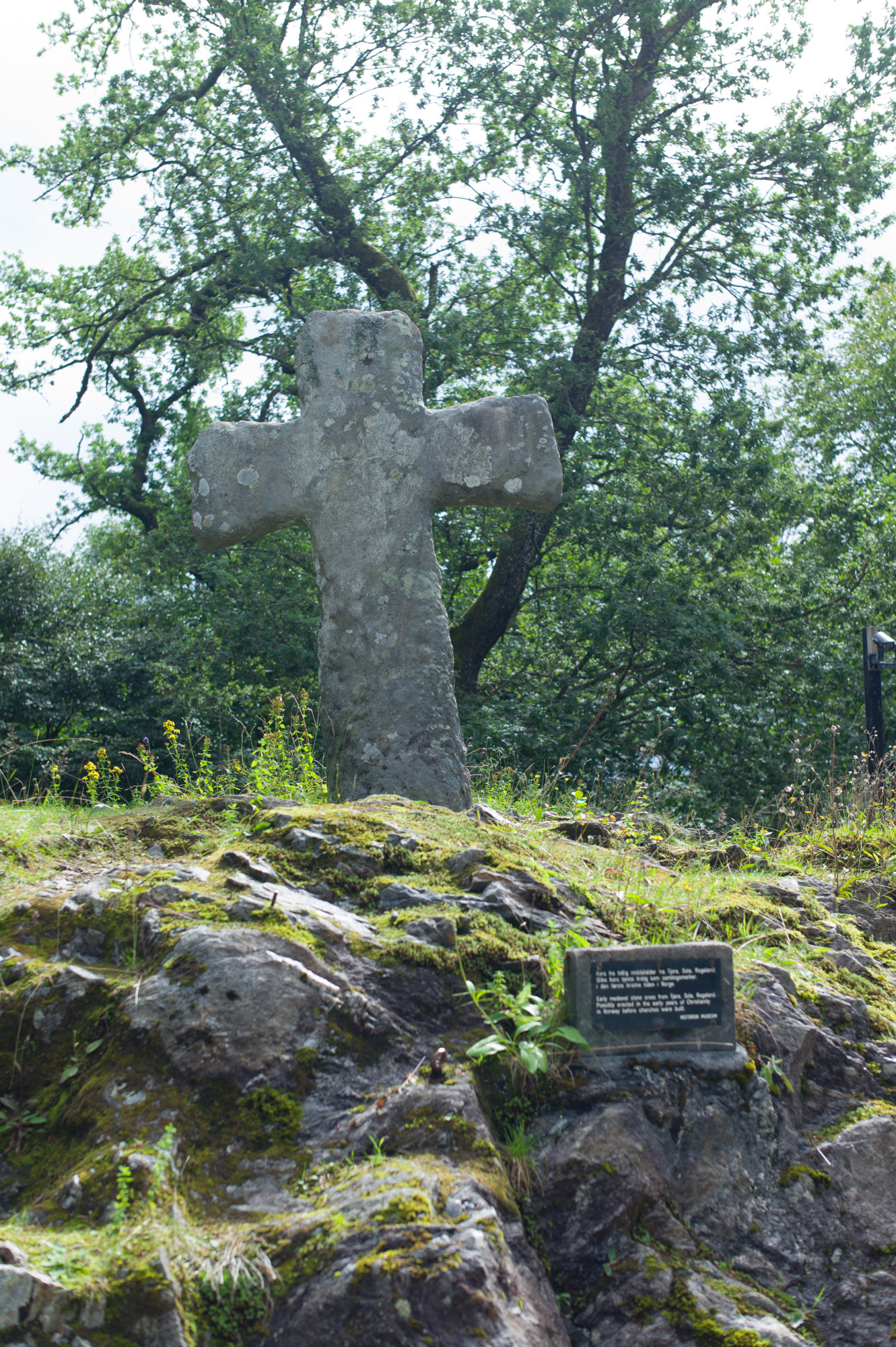 Norsk tittel / English title